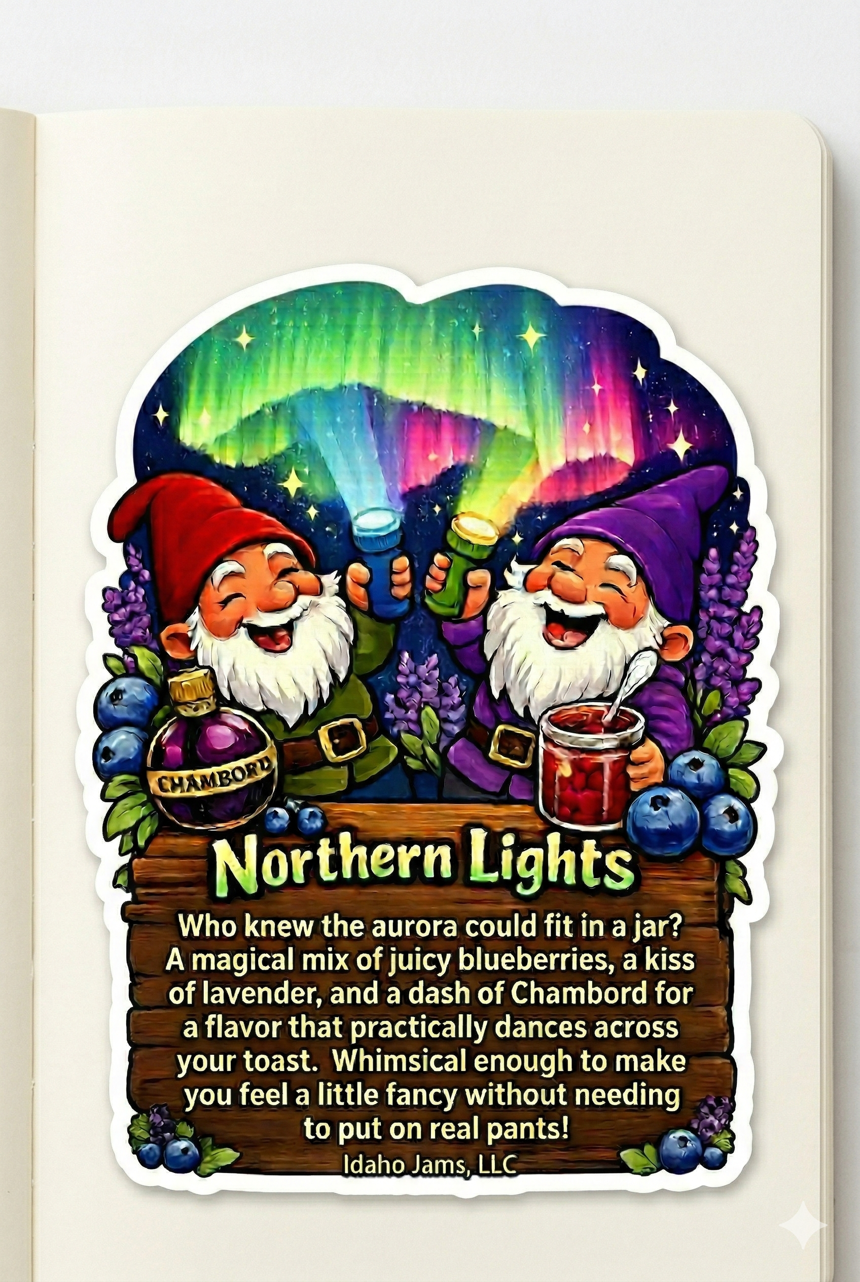 Northern Lights Jam